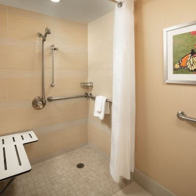 Accessible Double Room With Roll In Shower