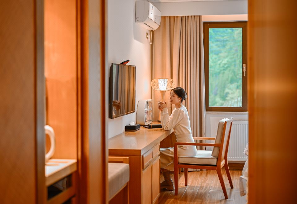 HongYa Minjiang Donghu Wawu Mountain Hot Spring Resort HotelDeluxe Single Room