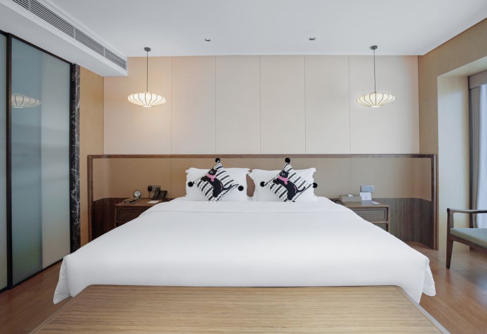 萌宠套房A-猫猫专属