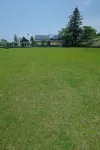 Holiday Afternoon
