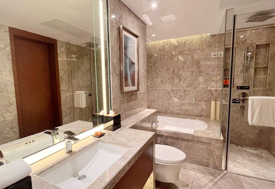 一居室豪華公寓