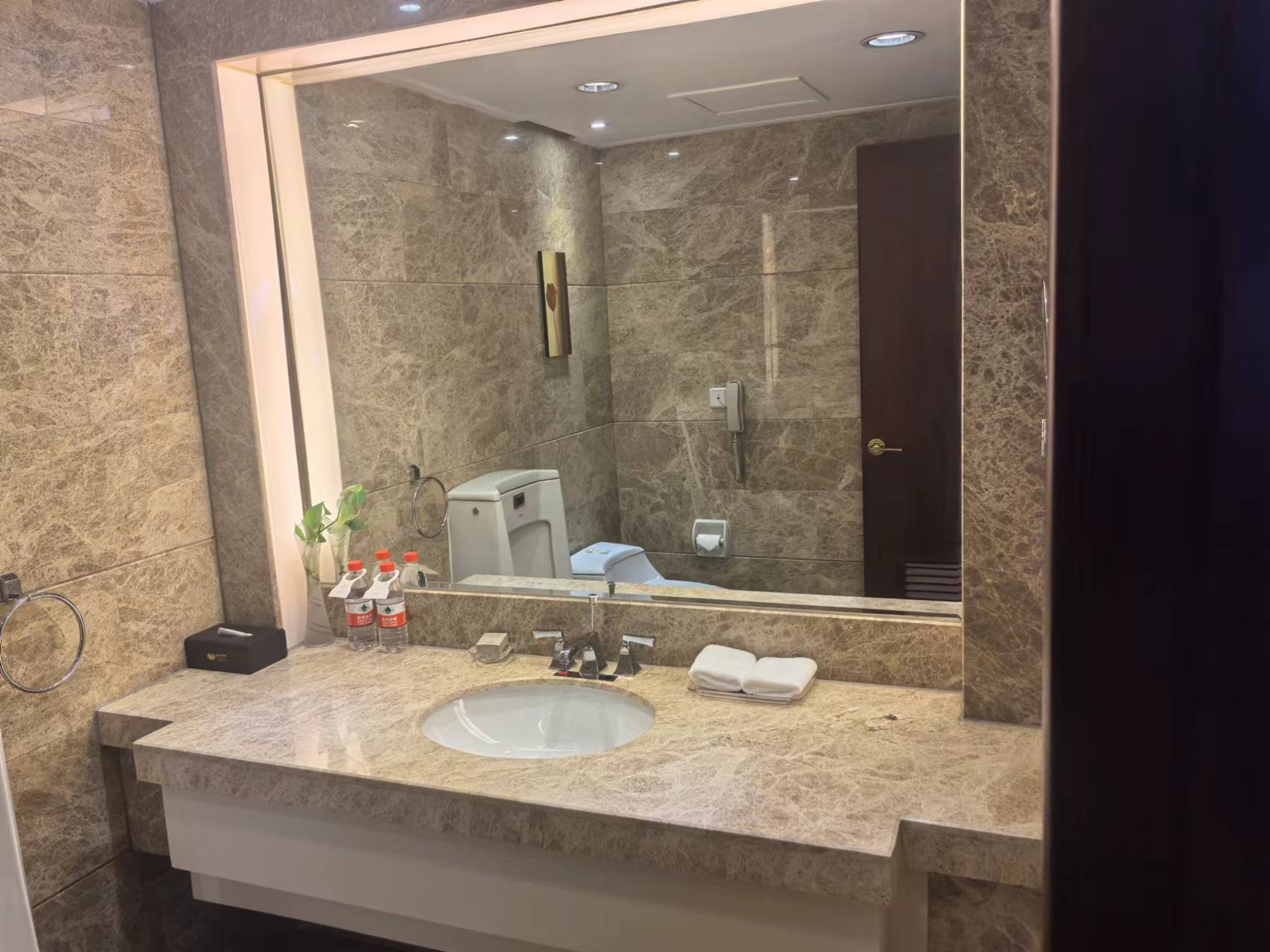 行政豪华套房（小度音箱+助眠床垫+180度全景）