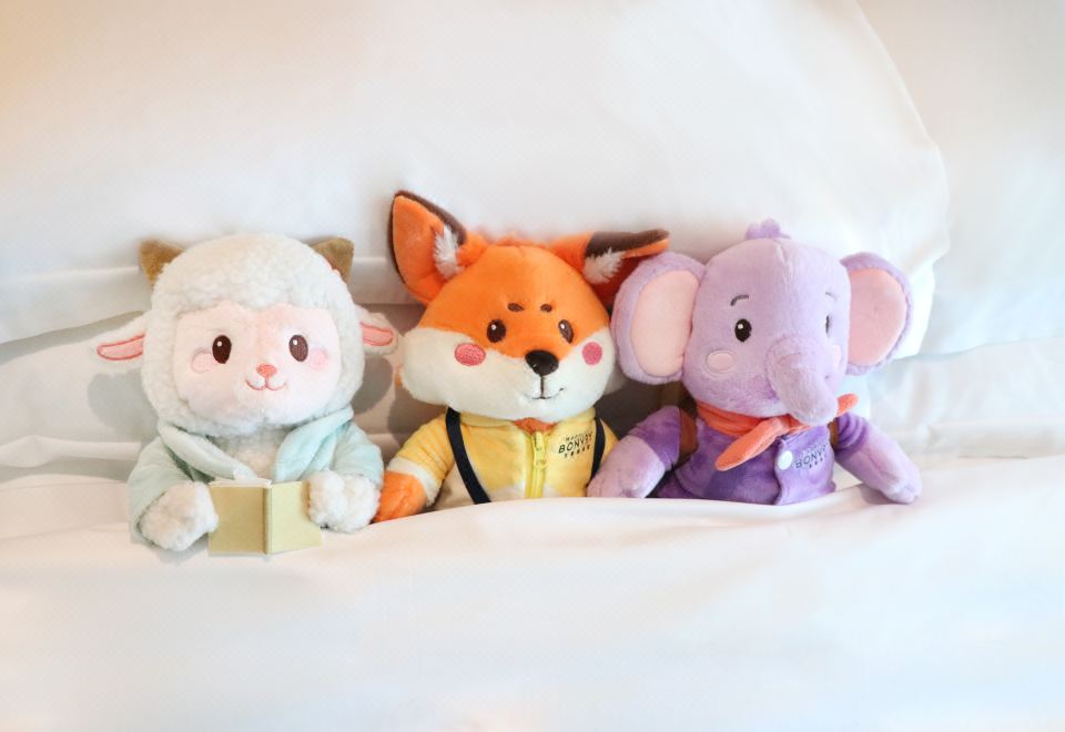 诺亚的丛林冒险一室一厅亲子套房（厨房设施+洗烘机 ）