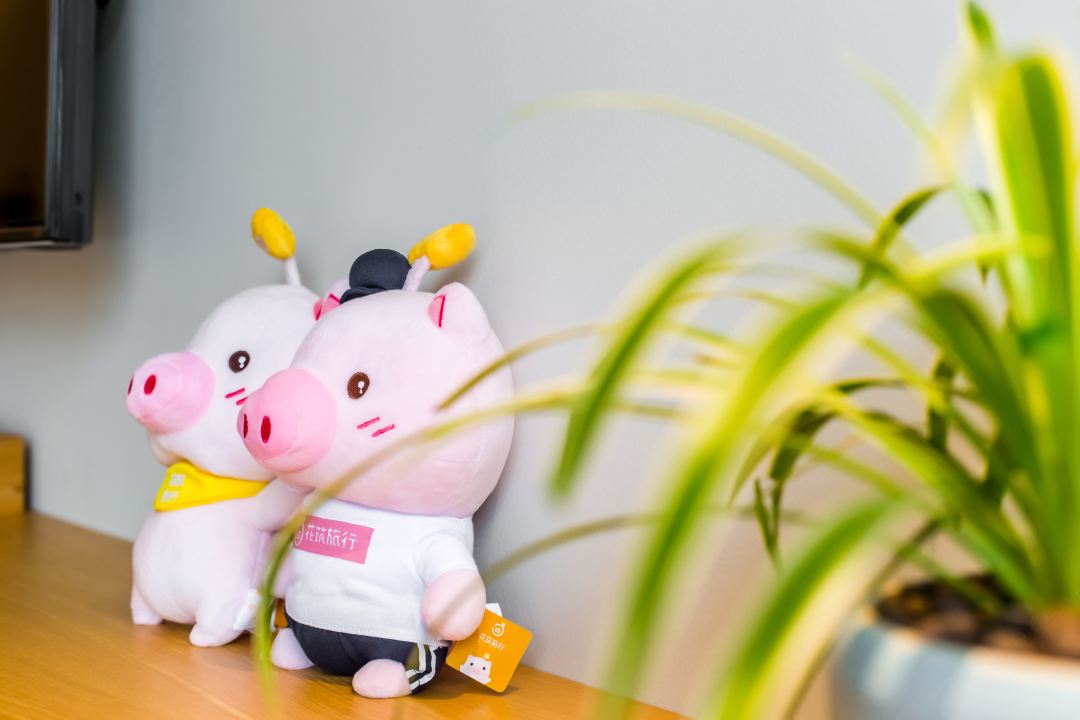 花筑驚喜奇遇雙床房