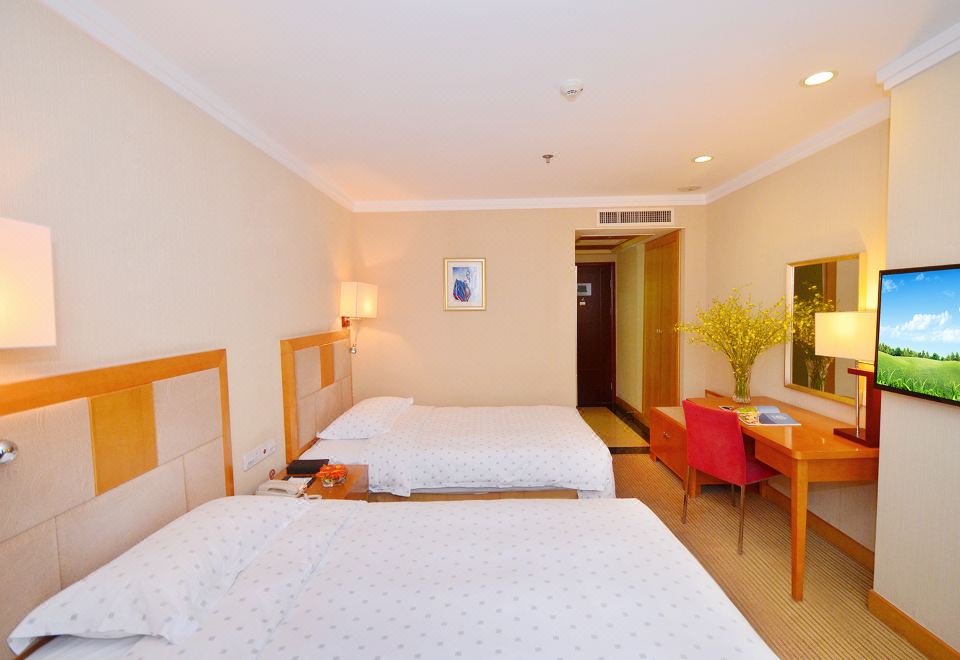 雅致城景双床房