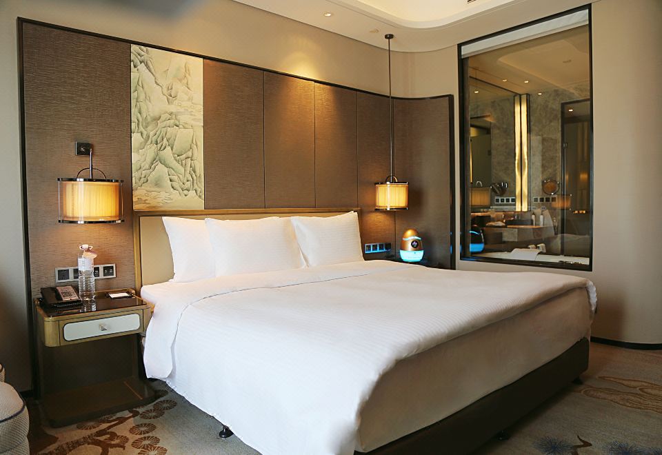 森林氧吧大床房（森呼吸+负氧离子净化器）