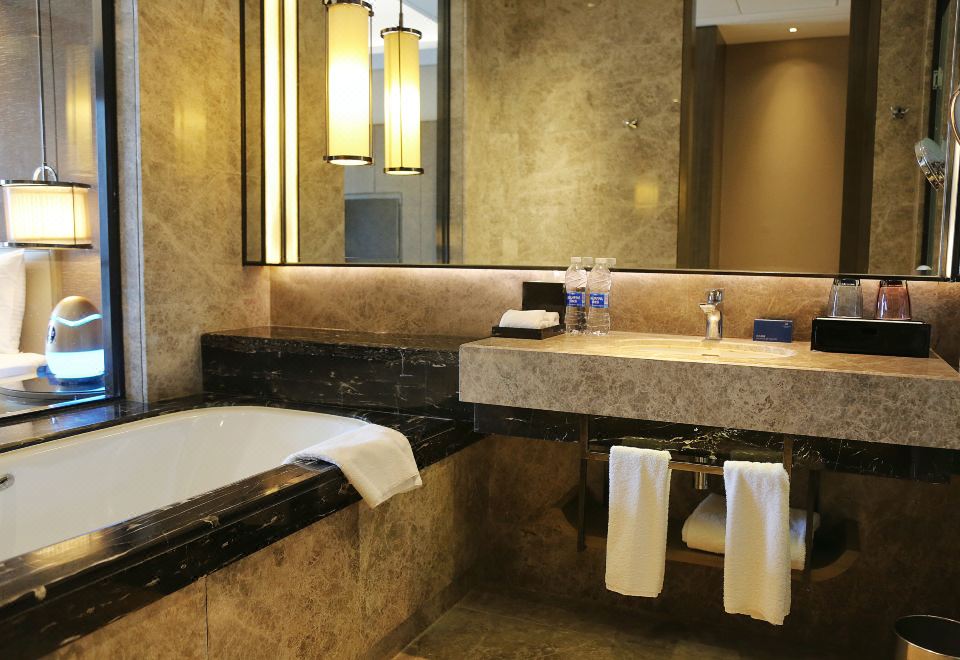 森林氧吧大床房（森呼吸+负氧离子净化器）