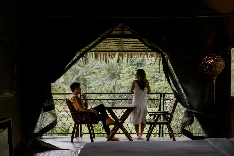 เอ็กโชติกคลิฟวิว