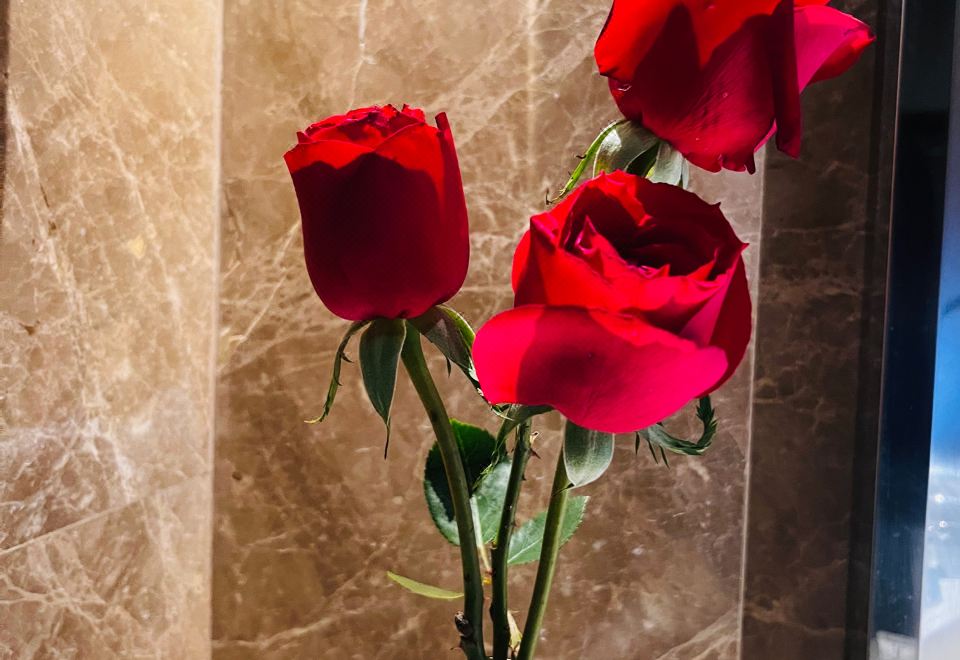 花瓣浴缸大床房