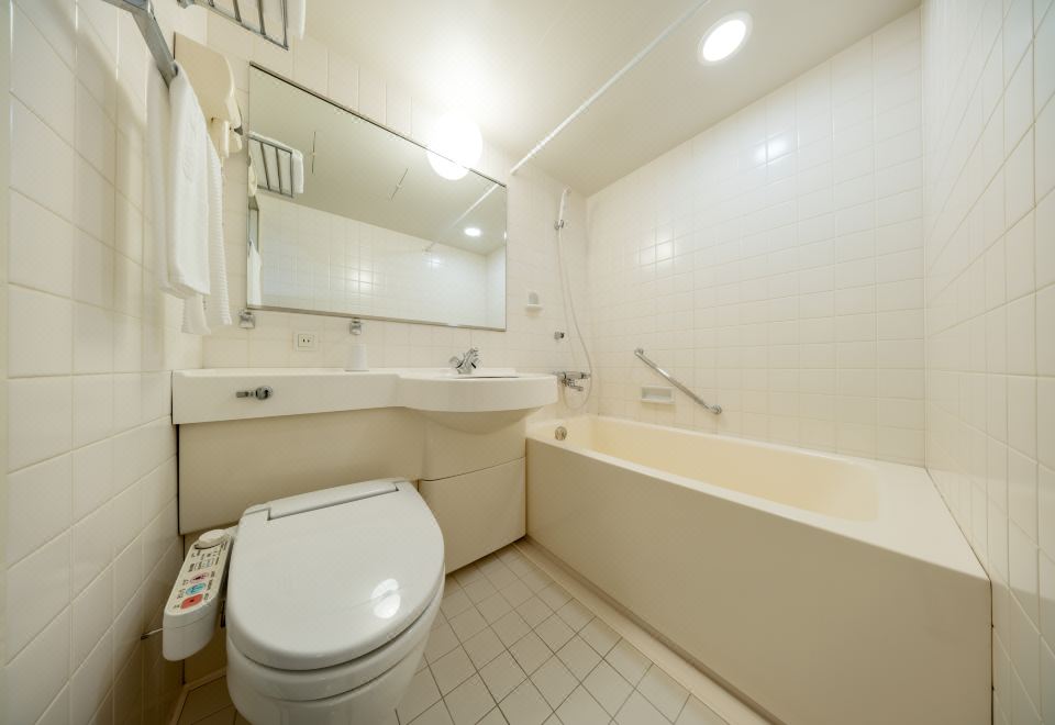 豪华单人间 禁烟