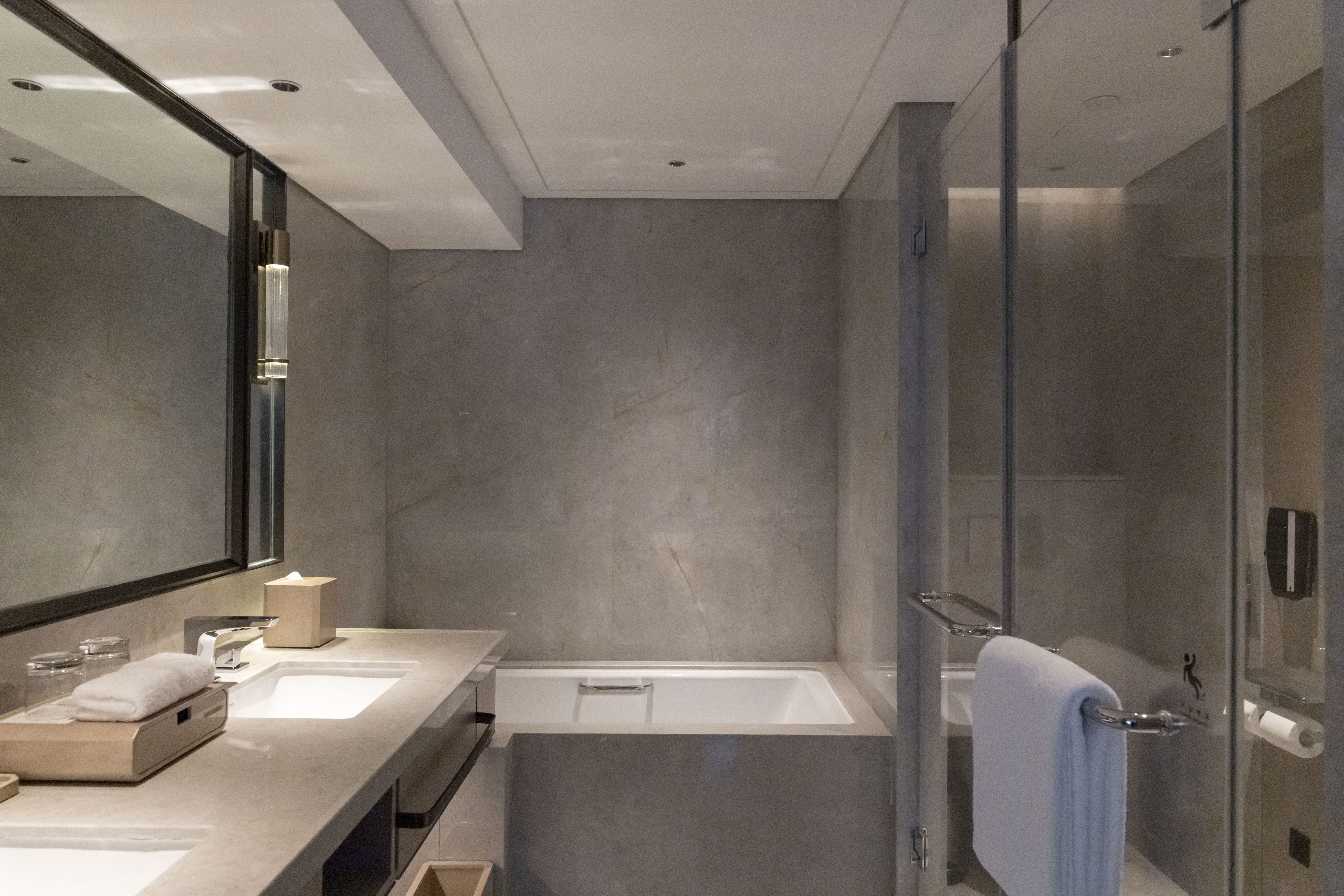 故宫全景尊尚双卧室套房（内置健身设备）