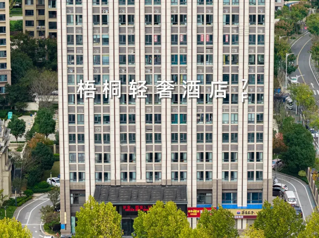 Wutong Light Luxury Hotel - Yueyang