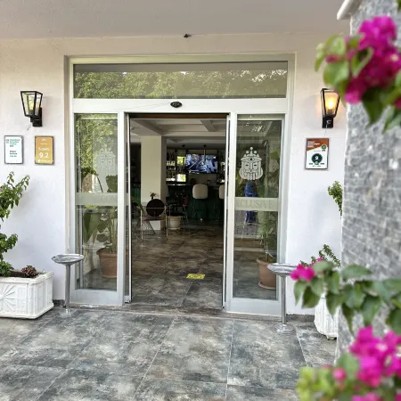 Mogons Exclusive