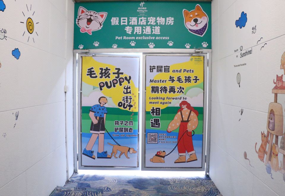 喵星人豪华超大床房