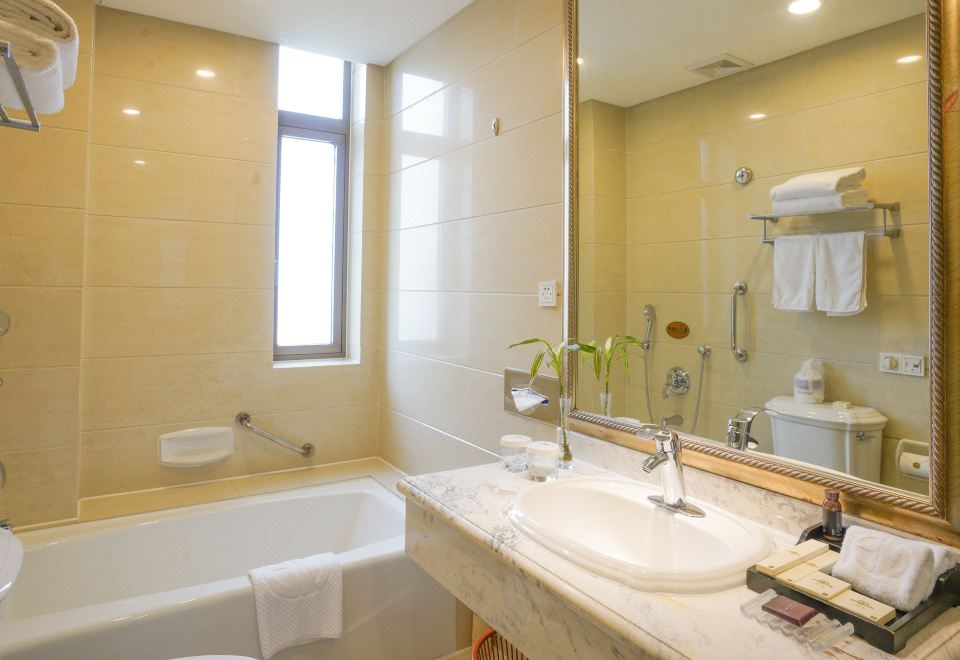 典雅城景大床房