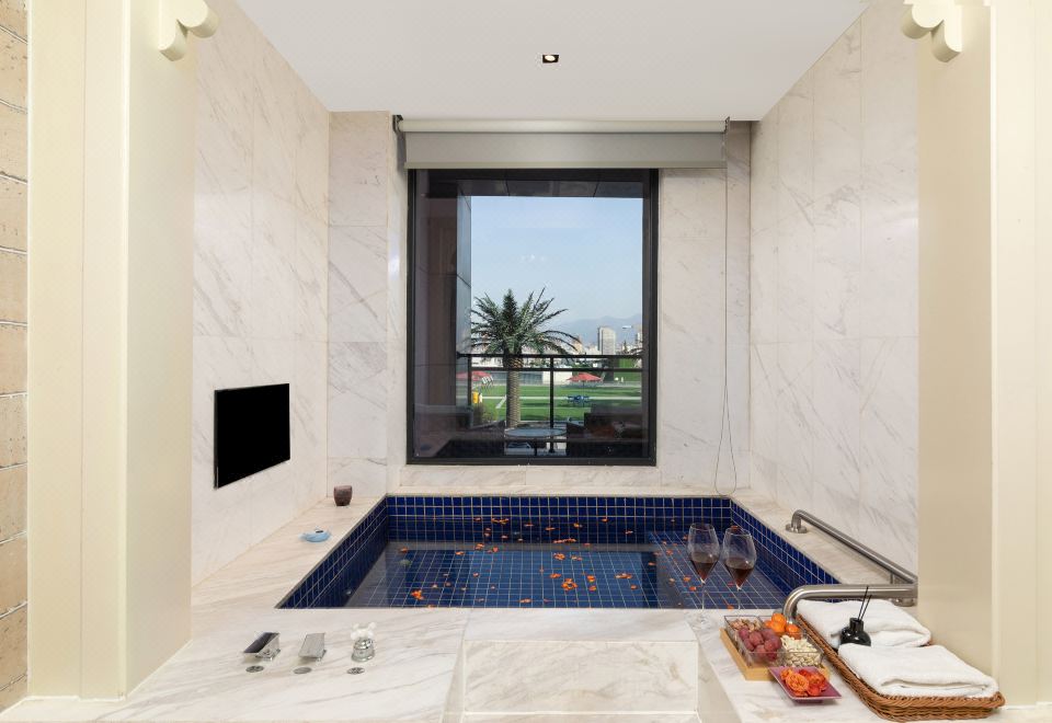 奢華私湯大床房