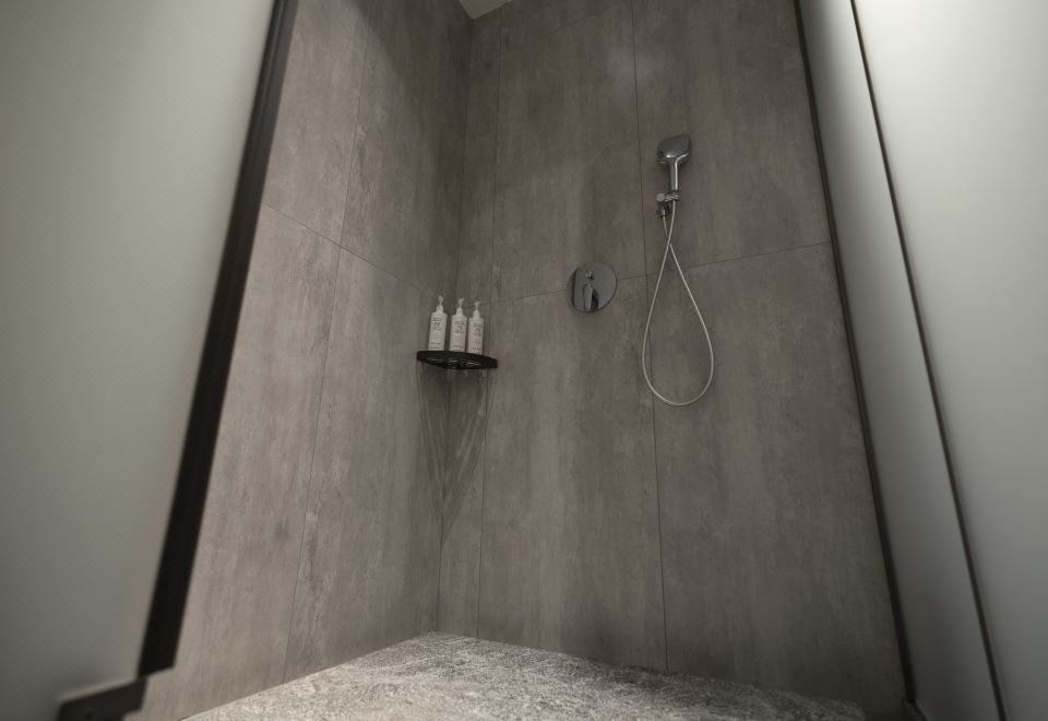 特價靜雅大床房