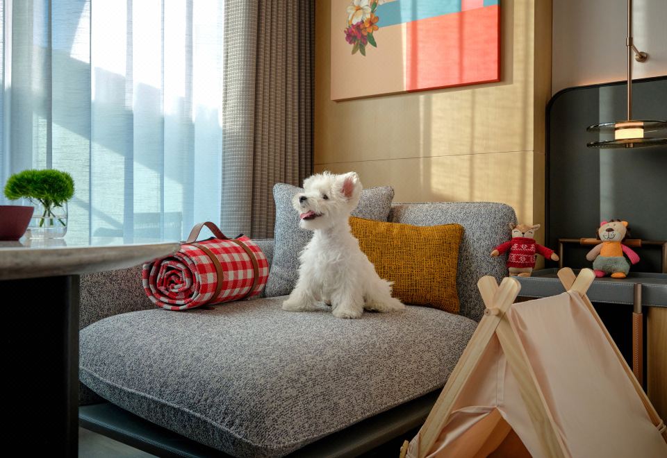 1 King Bed, Pet Friendly, Balcony