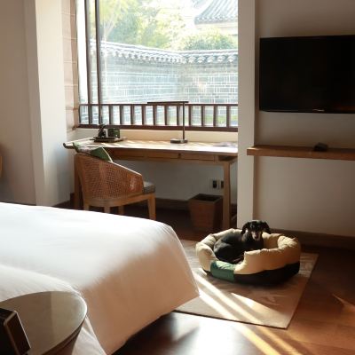 悦伴寵物別墅 陽朔悦榕莊優惠