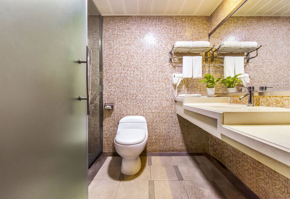 高级双床房「洗浴乾湿分离-灭菌毛巾-采光明亮盈透」