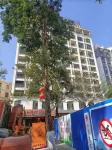 Small wind homestay