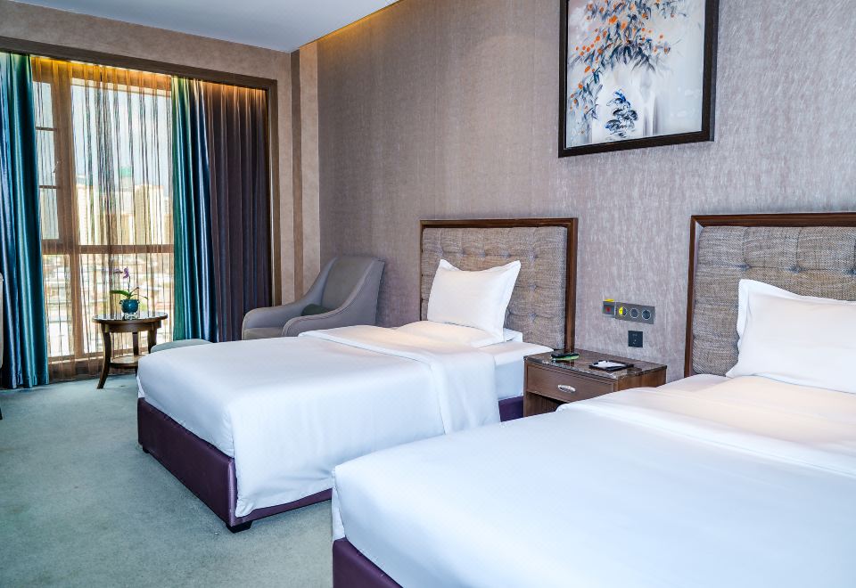 高级双床房（负氧离子+空气净化设备）