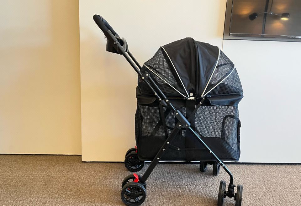 宠物友好大床房『宠物专属用品+深泡浴缸』