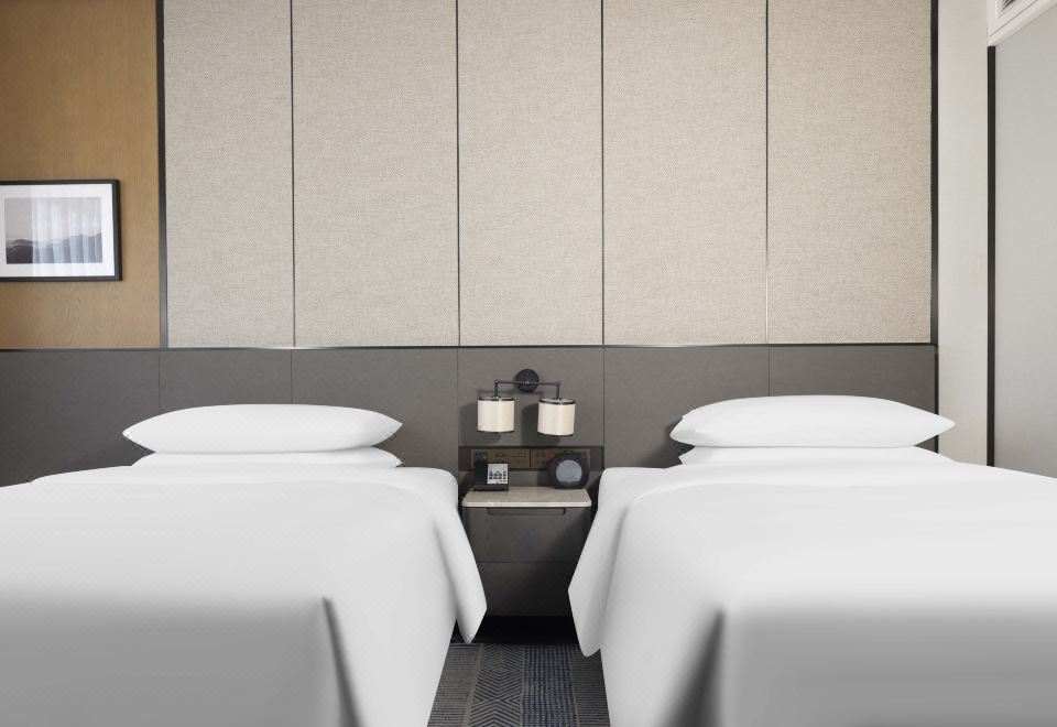 行政山景双床房