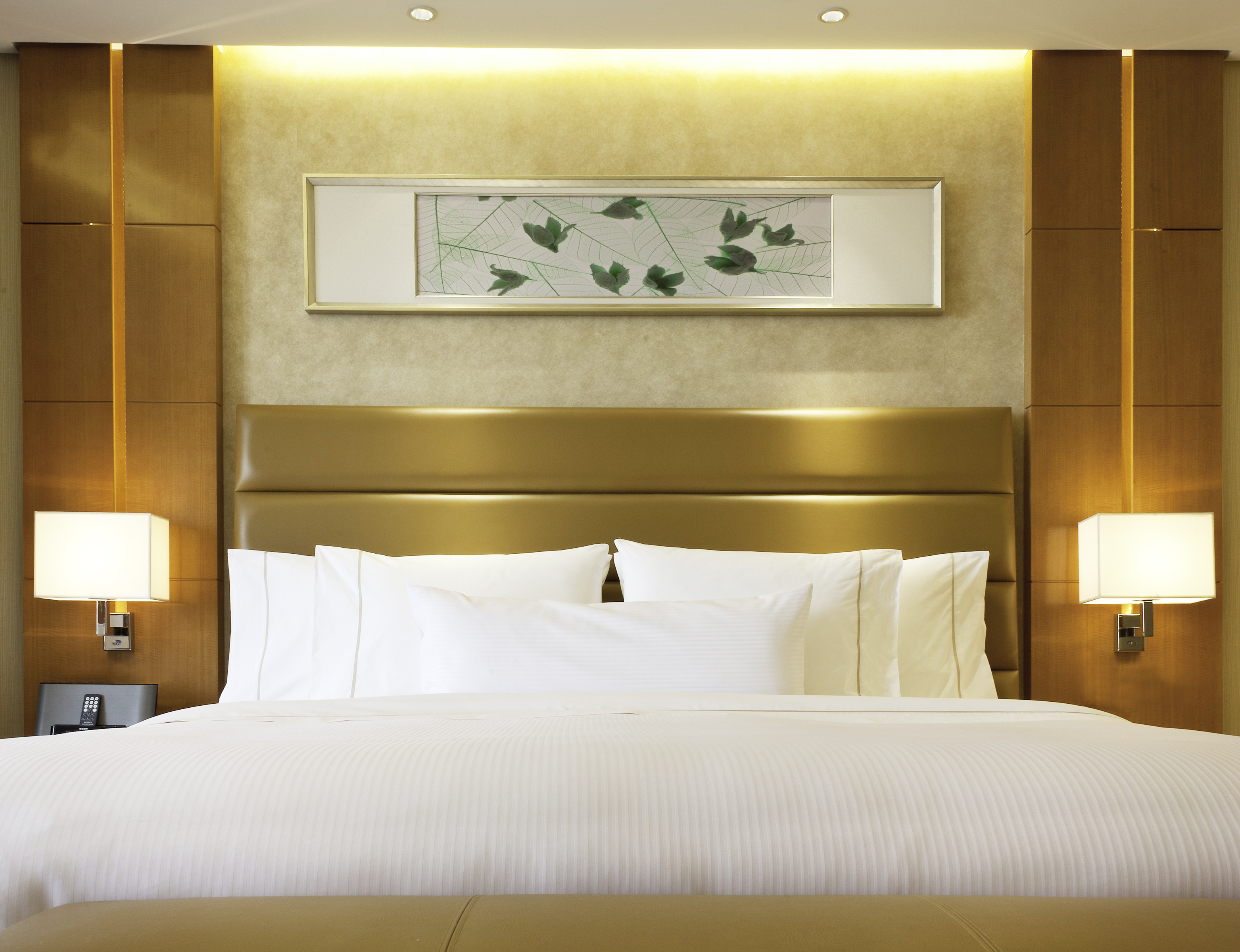 豪华景观大床房·览魅力山景