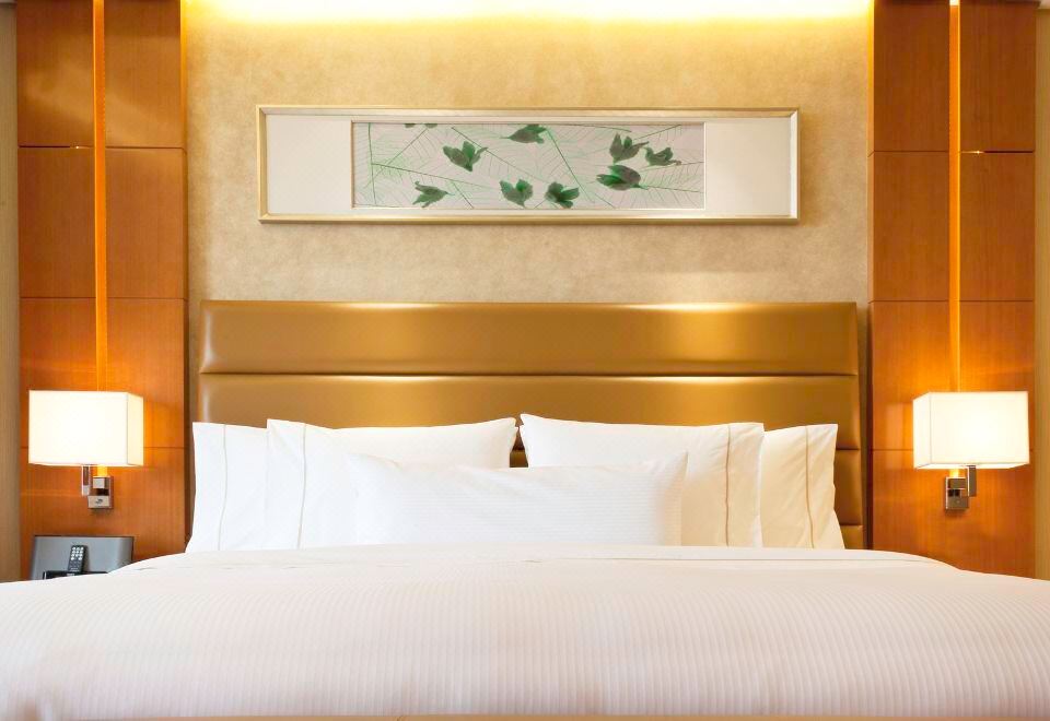 豪华景观大床房·览魅力山景