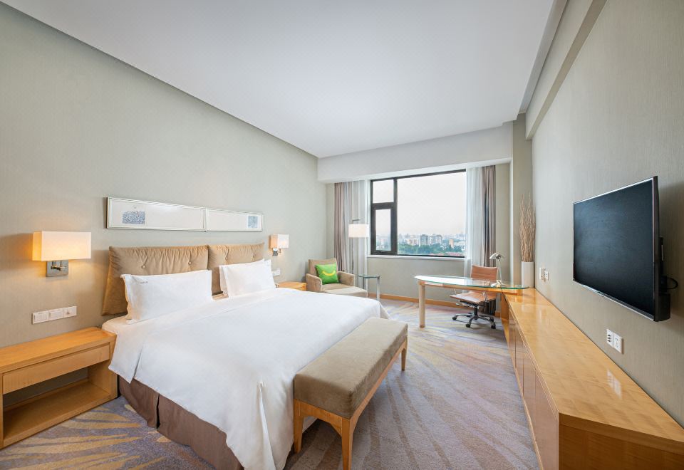 高级大床房 城市景观