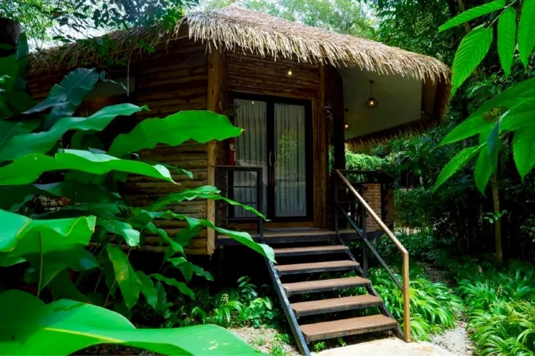 บ้านปีกไม้