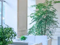 Lu County Yunduo International Hotel Hotel di Provinsi Lu