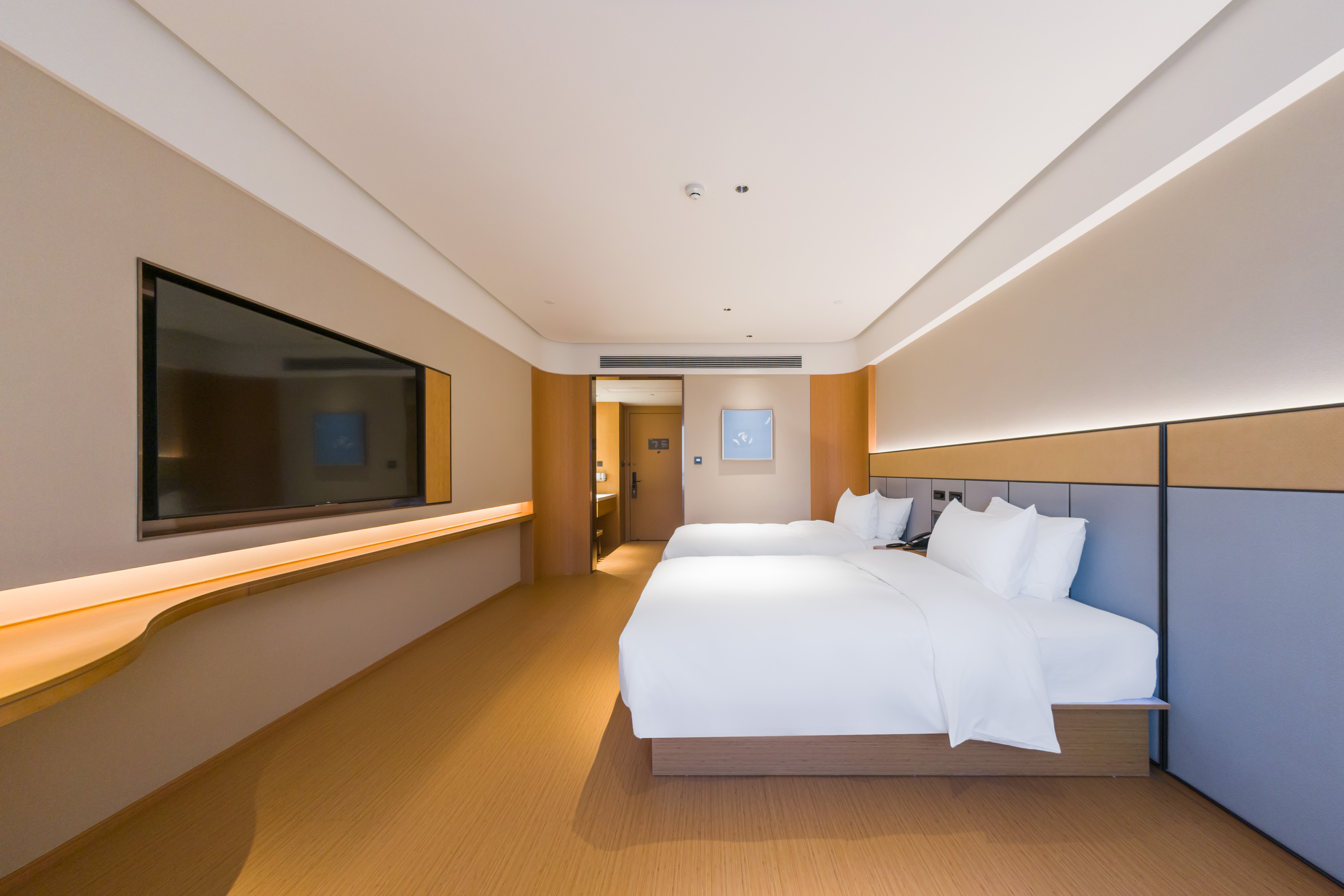 高级双床房（65寸电视投屏+智能客控+迷你小冰箱）