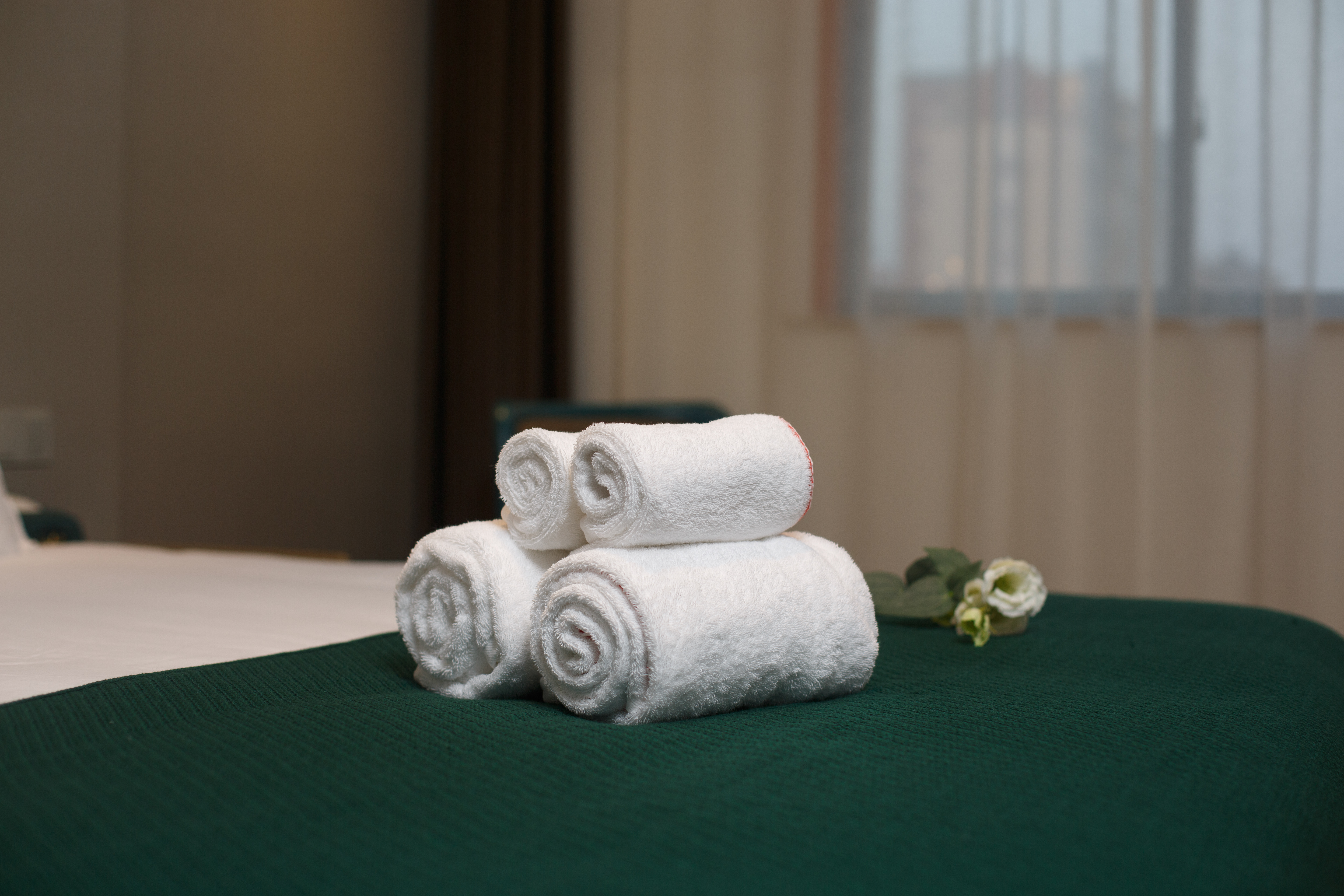 零压轻雅大床房