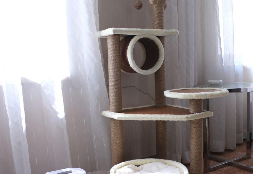 喵星人豪华超大床房