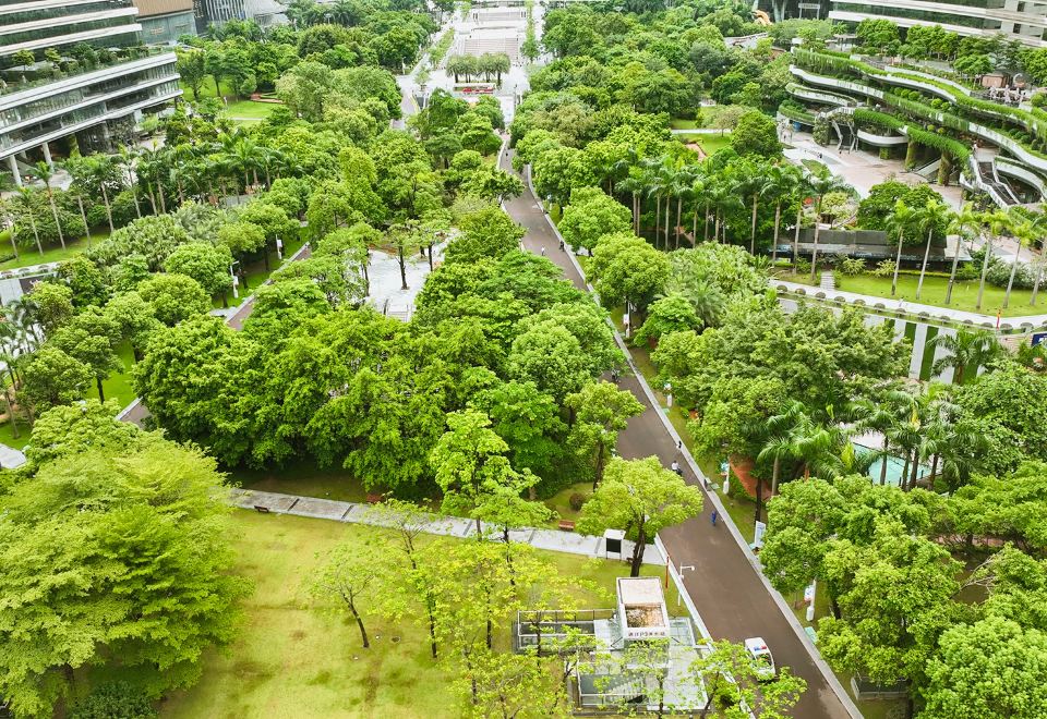 嘉賓軒園景客房