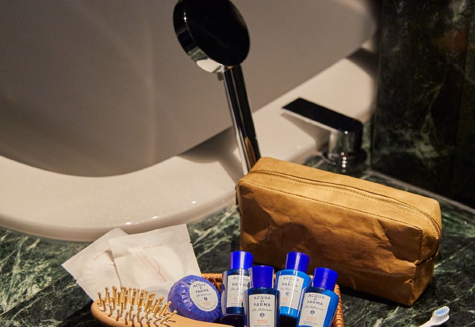 豪華湖景單臥套房