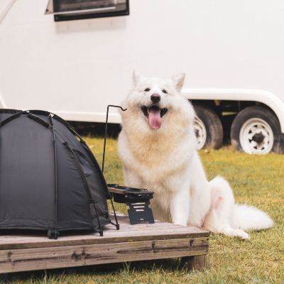 A.CAMP房車營地-星空寵物友好房車 廣州九龍湖國王酒店優惠