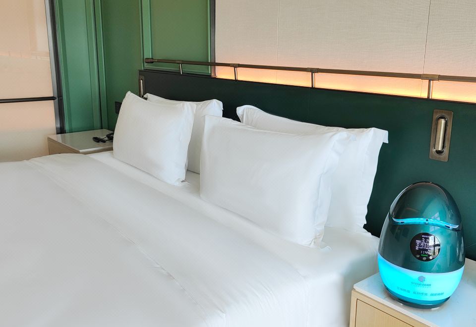 Investon Hotel Shenzhen LonghuaForest Oxygen Bar Double Bed Room