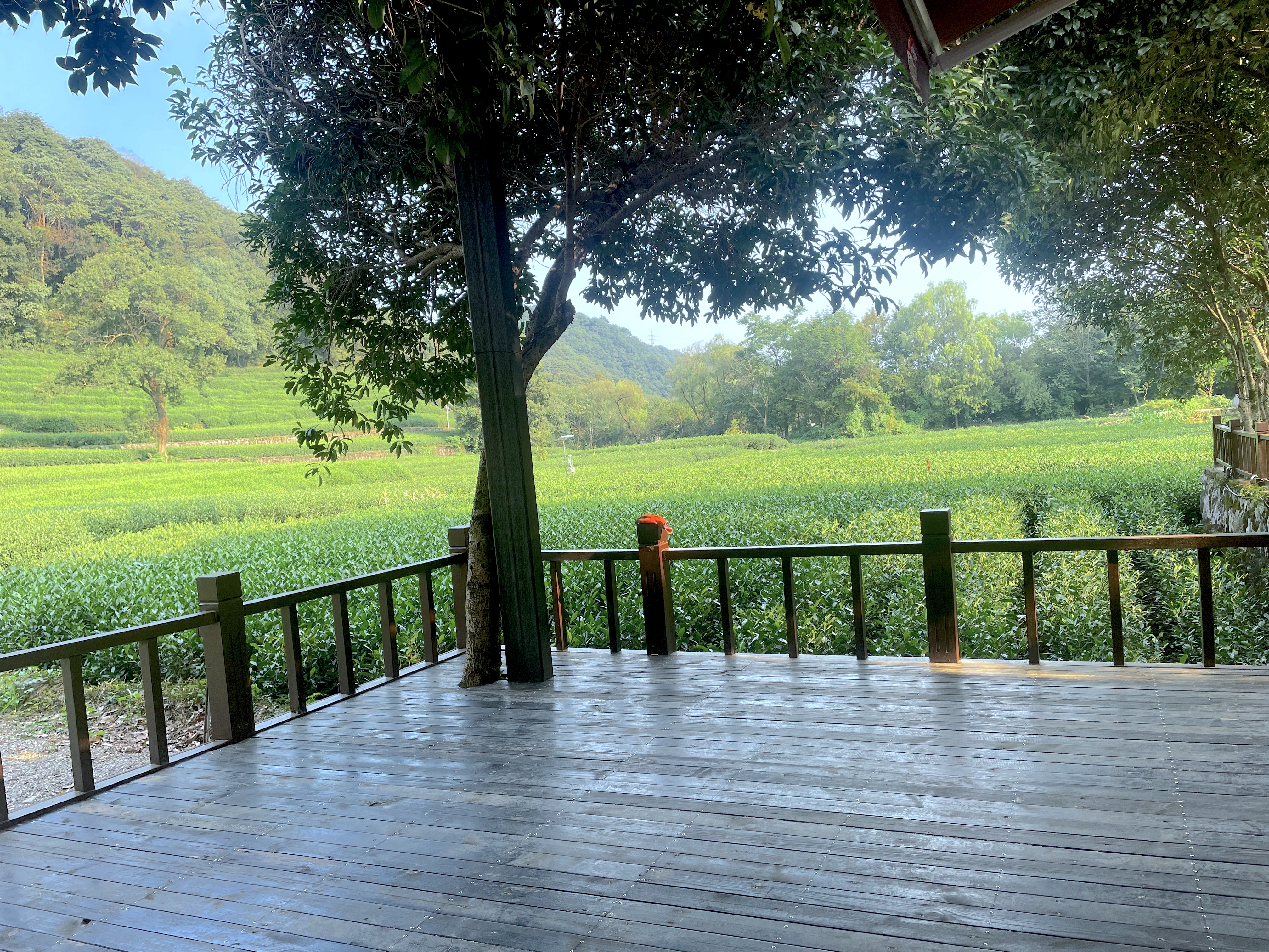 【独栋】茶园山景无敌视野七室三厅包楼