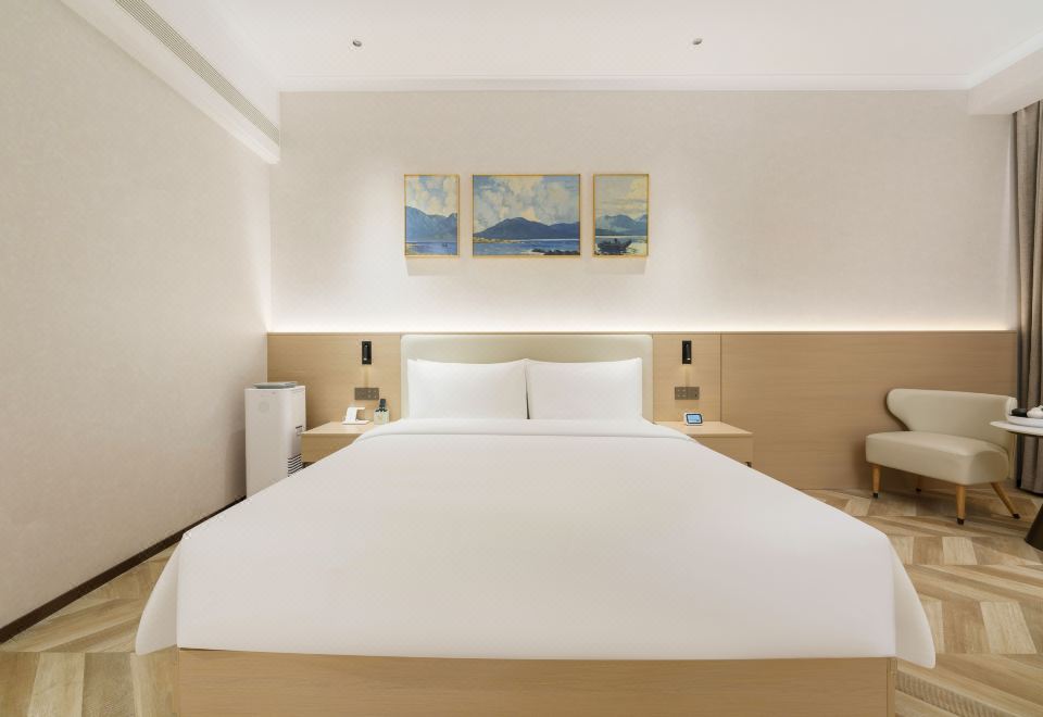 舒悅大床房（負離子空氣凈化器+智能客控）