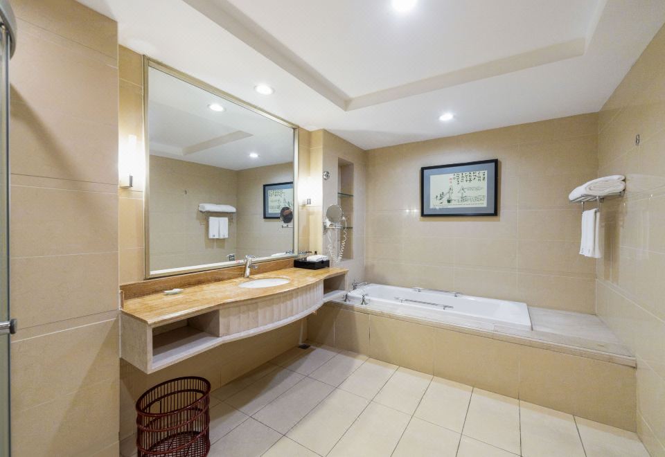 高级双床房（景观+高档床垫+浴缸+智能马桶）