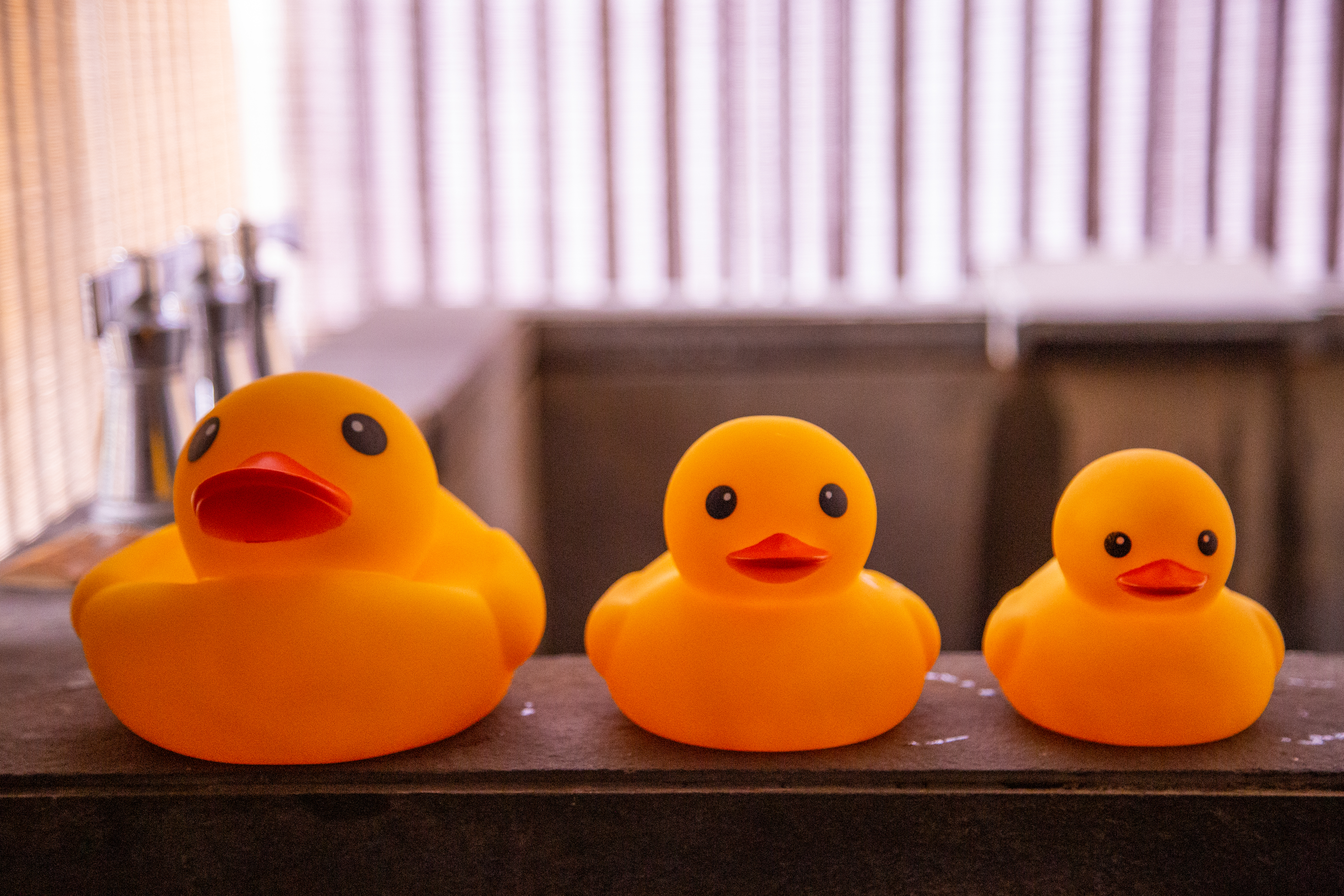 小黄鸭主题亲子汤屋?