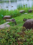 Yunsu Boutique Hotel (Nanping Wanda Plaza)