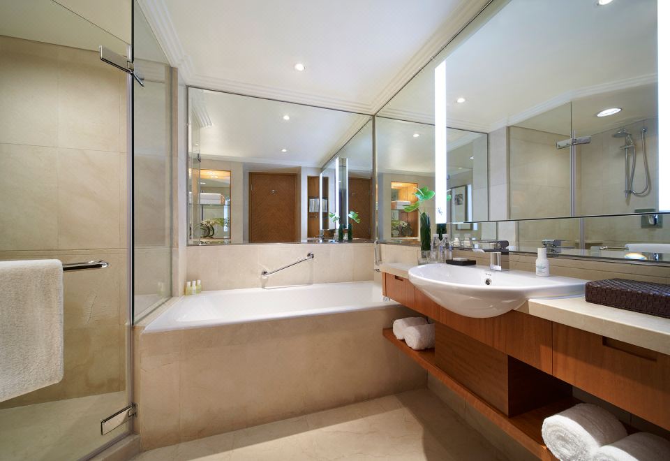 嘉宾轩套房双床家庭房（大床+单人床）