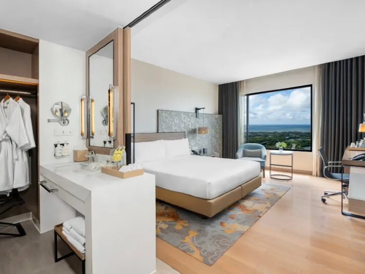 1 King Bed Standard Accessible sea view