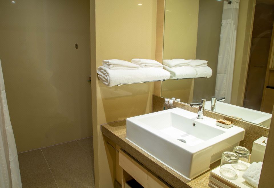 贵宾豪华大床房