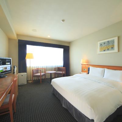 標準雙人房 奈良日航國際飯店優惠