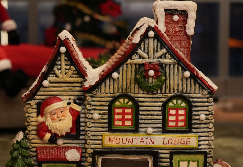 圣诞单卧套房（圣诞装饰+厨房+洗衣乾衣机）